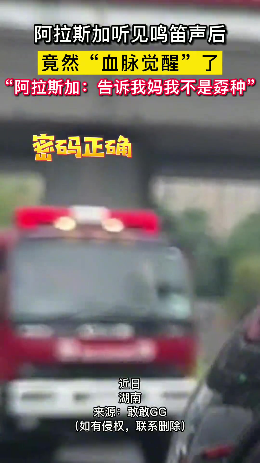 阿拉斯加听见警笛后竟然“血脉觉醒”了