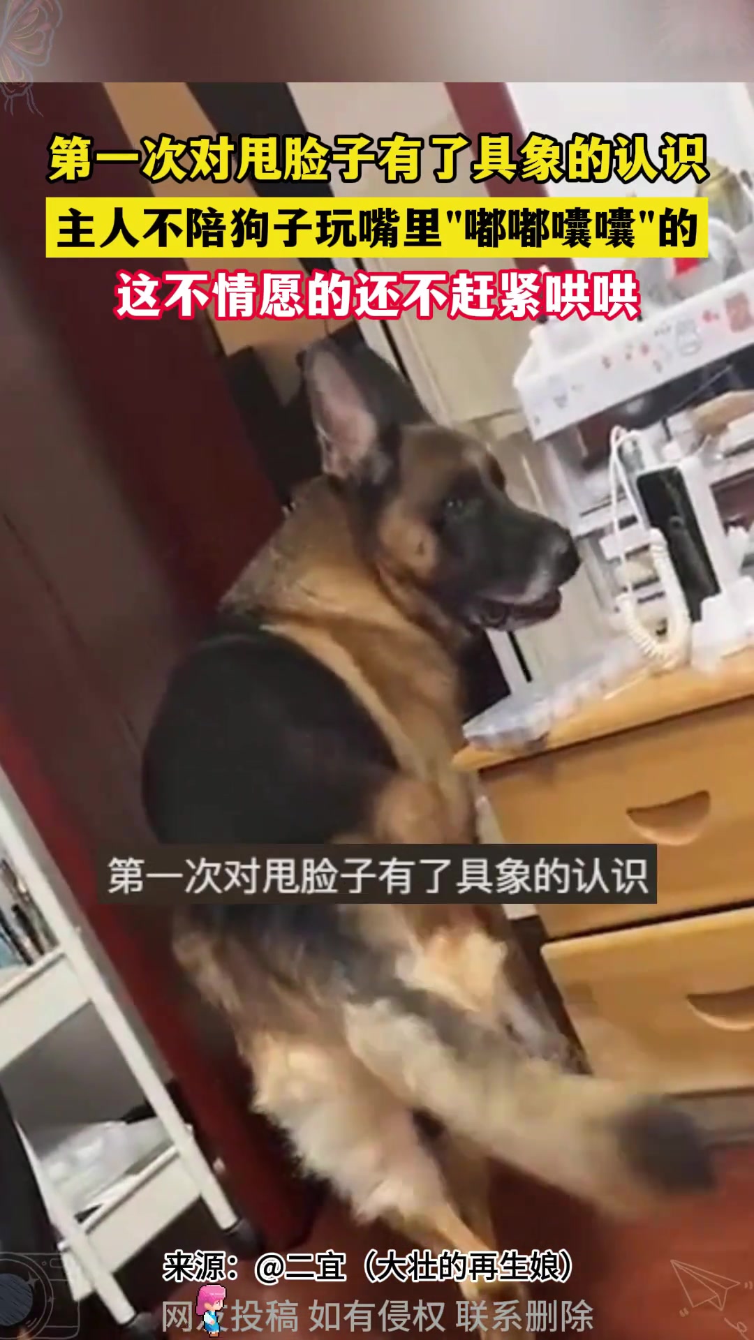 第一次对甩脸子有了具象的认识