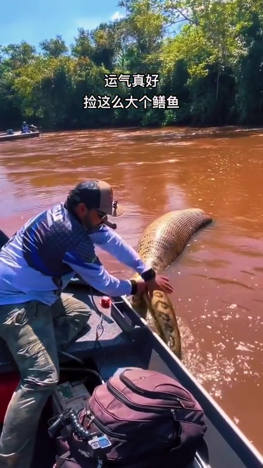 都变成巨人观了！这是腰带把皮鞋吞了啊！