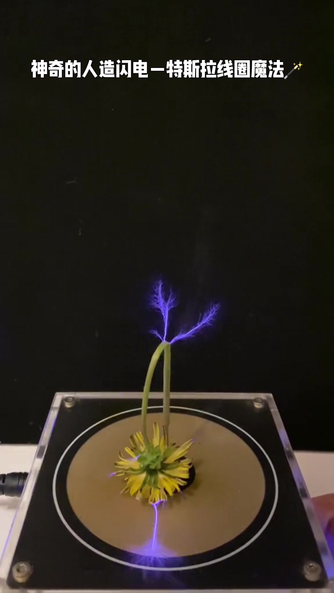 神奇的人造闪电特斯拉线圈魔法！