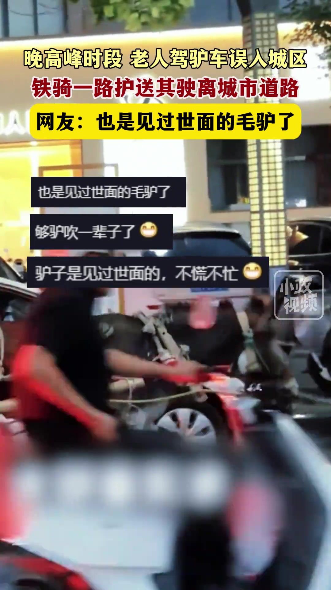 驴：我也算是去过大城市的驴了，以后请叫我英文名LV