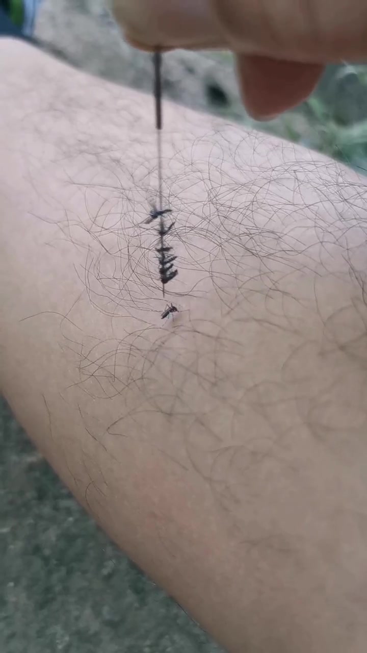 杀敌一千自损八千！这都扎到自己了！