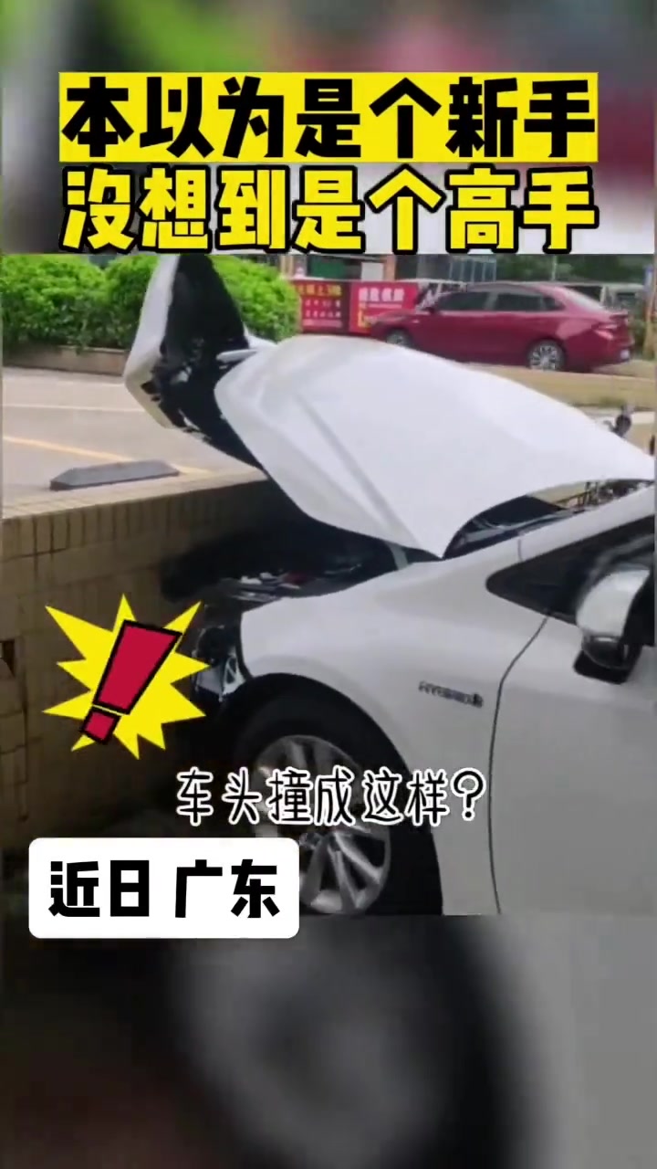 本以为是个新手没想到是个高手