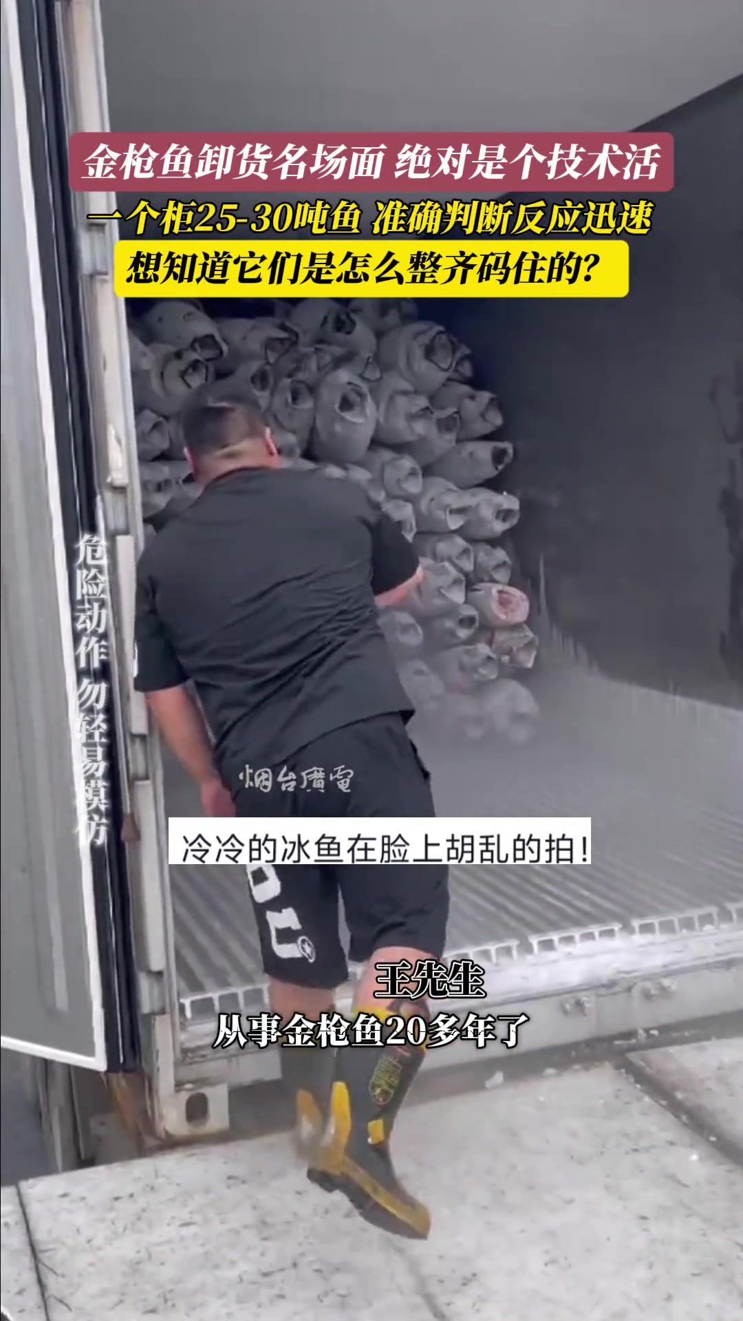 金枪鱼卸货名场面绝对是个技术活比石头还硬