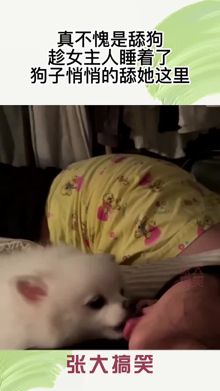 真“舔狗”啊！哪位吧友转世啊这么狠的