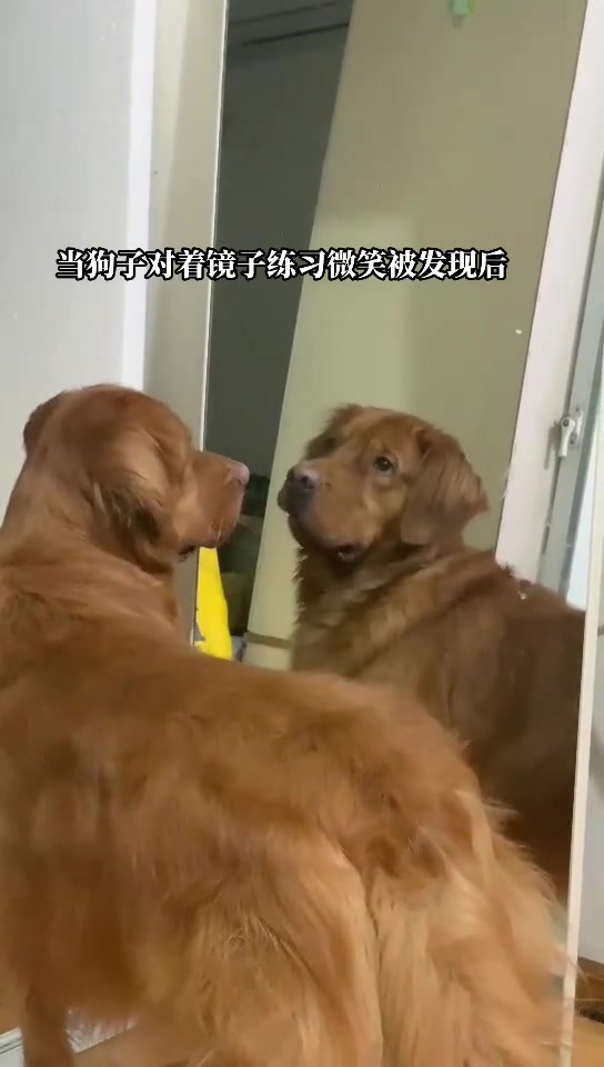 老抽色的从不让人失望啊
