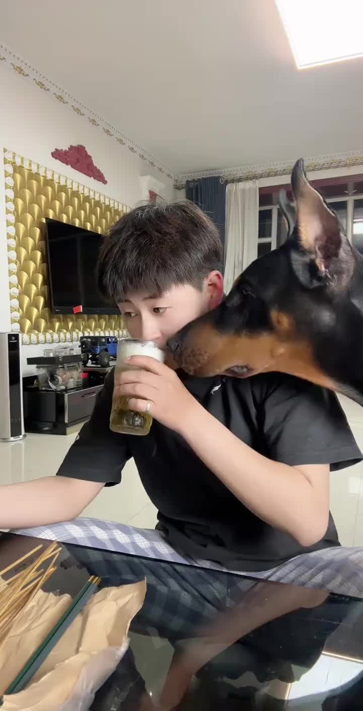 没有一顿饭是消停吃的