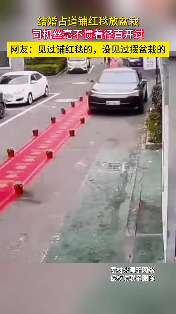 结婚占道铺红毯放盆栽，司机丝毫不惯着径直开过