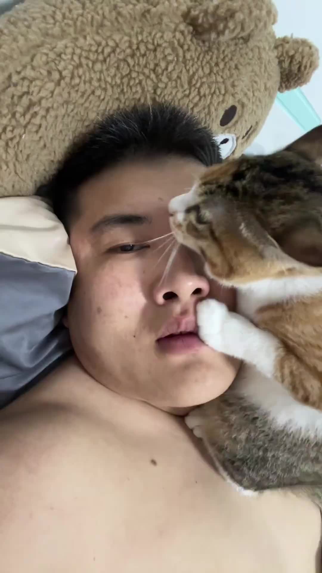 这猫咋甩不掉嘞