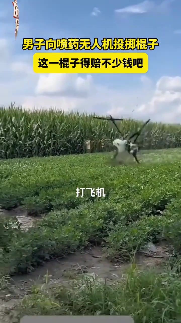 男子向喷药无人机投掷棍子这一棍子得赔不少钱吧！