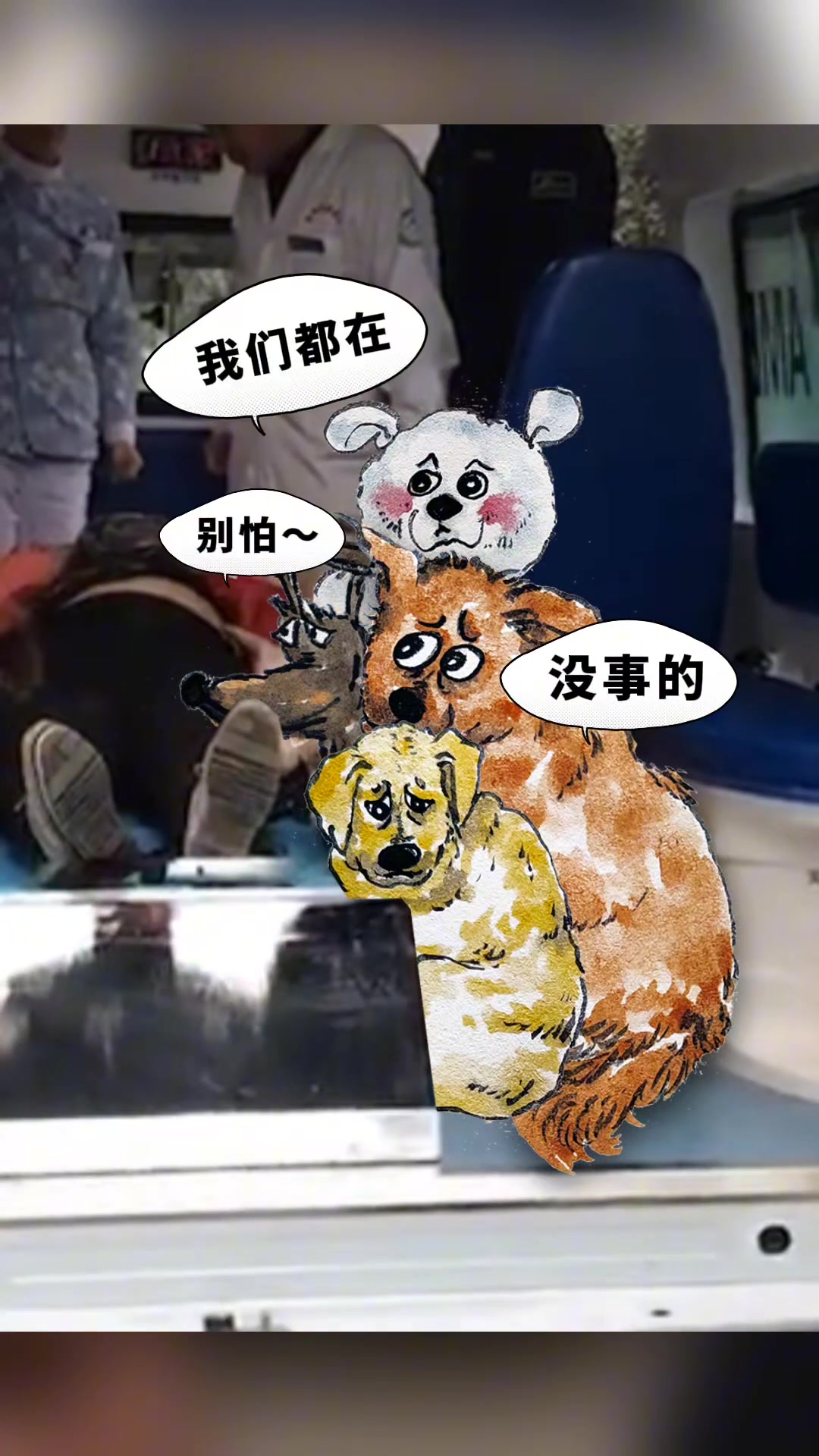 主人突发情况，四只狗狗一脸担心