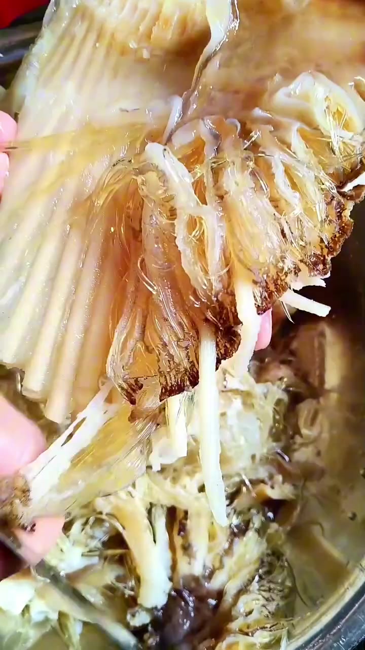 这就是鱼翅吗好像粉丝！！！