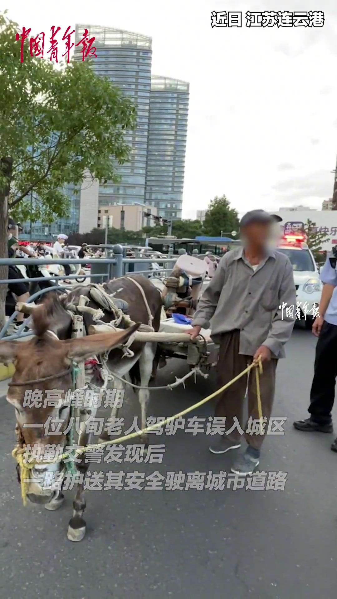 老人驾毛驴车到城区维修抽水机，交警一路暖心护送