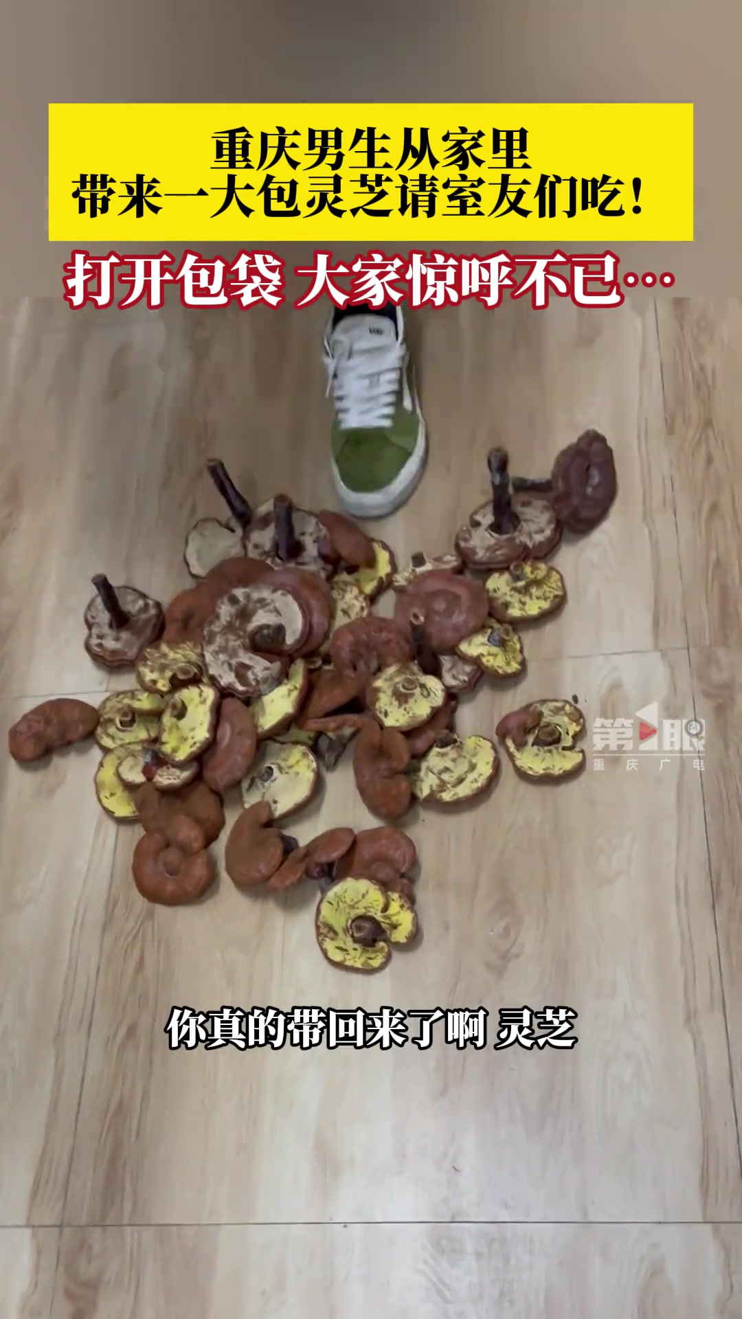 传说中的中国好室友！请室友们吃灵芝....