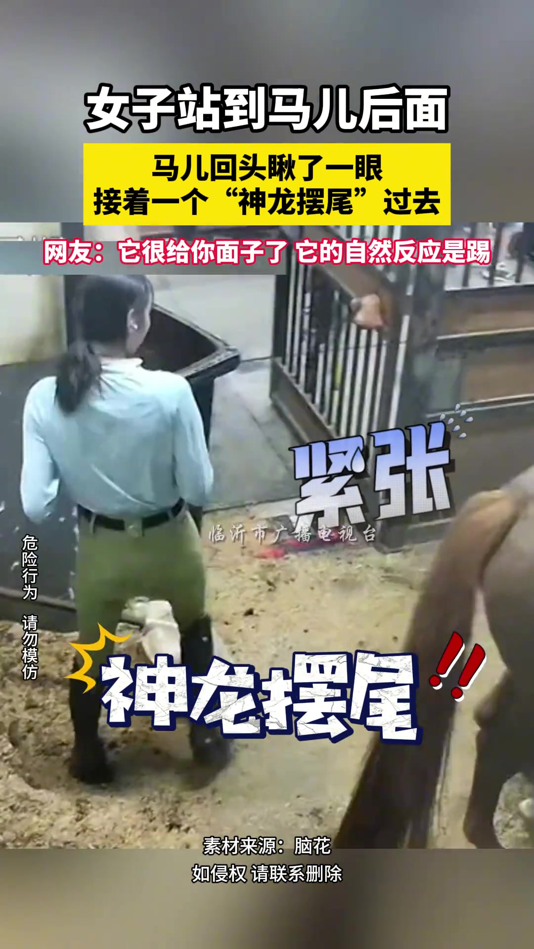 女子站马后面，马儿回头瞅一眼接着一个“神龙摆尾”