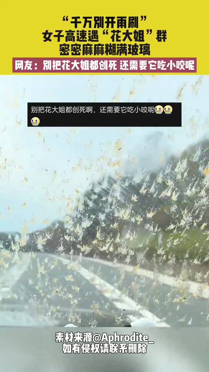 傻眼了！女子高速遇“花大姐”群，密密麻麻糊满玻璃