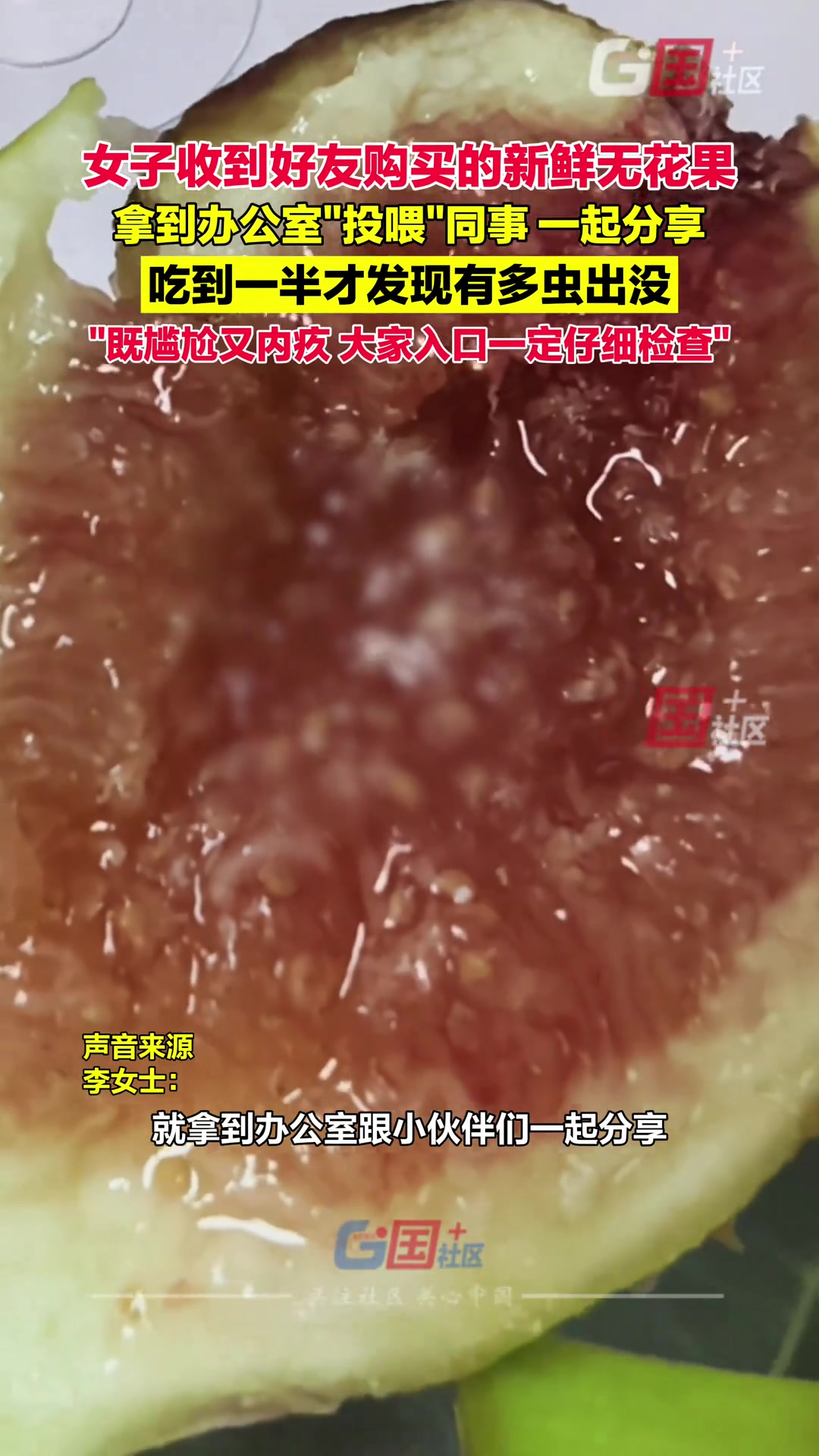 女子收到新鲜无花果拿到办公室投喂同事不料吃到一半发现好多虫