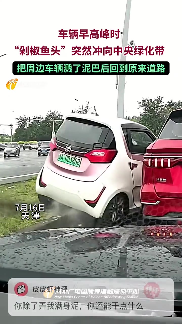 早高峰时，”剁椒鱼头“突然冲向中央绿化带