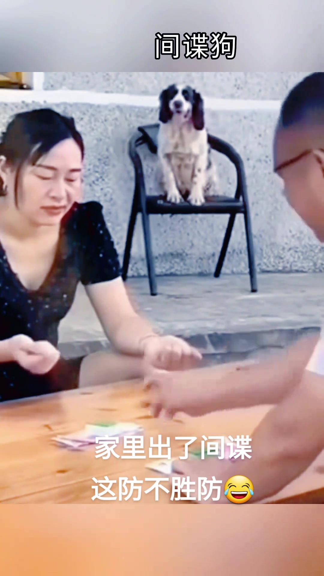 狗子成精了
