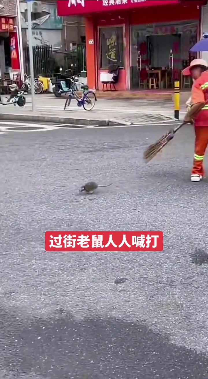 老鼠出门没看黄历过街老鼠人人喊打