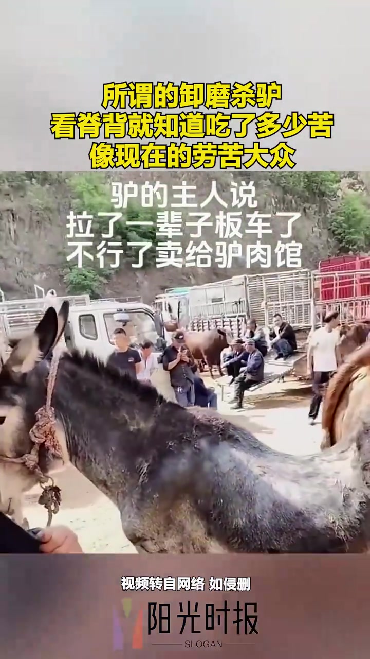 这驴这辈子吃了多少苦啊！！