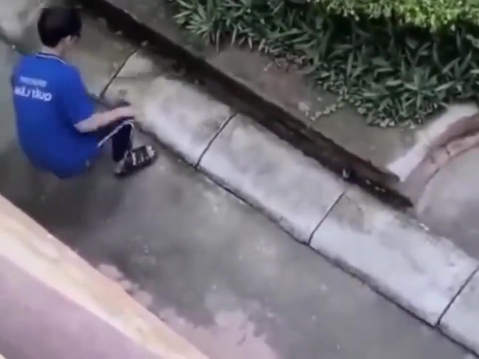 惊不惊喜，意不意外