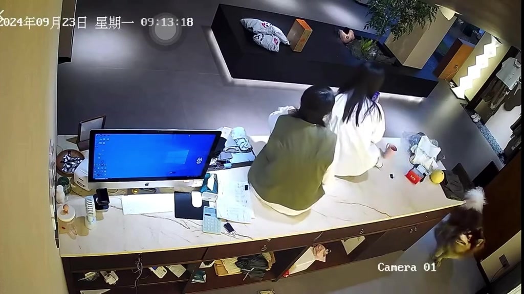 怕狗狗的两人动作一致