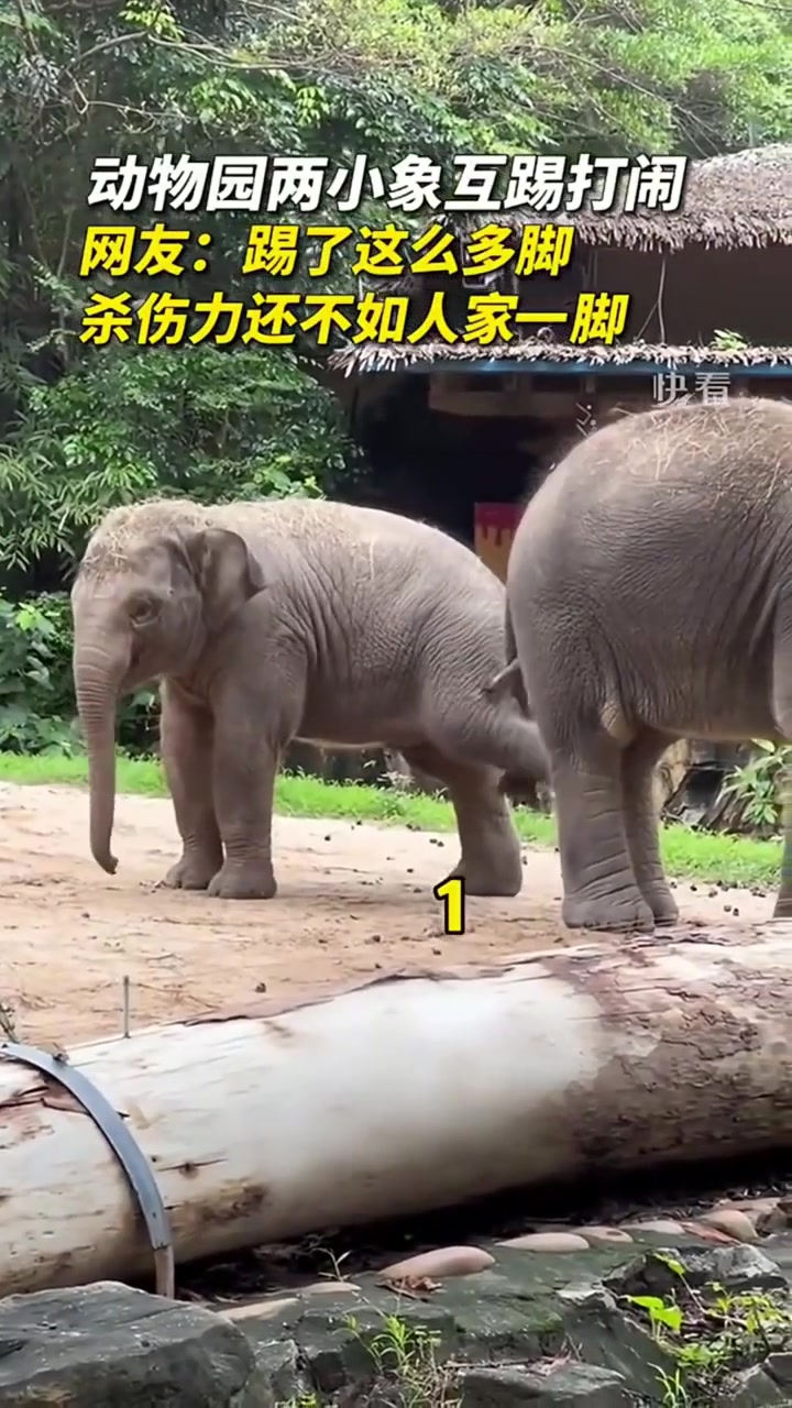 好像我和我的犯贱朋友