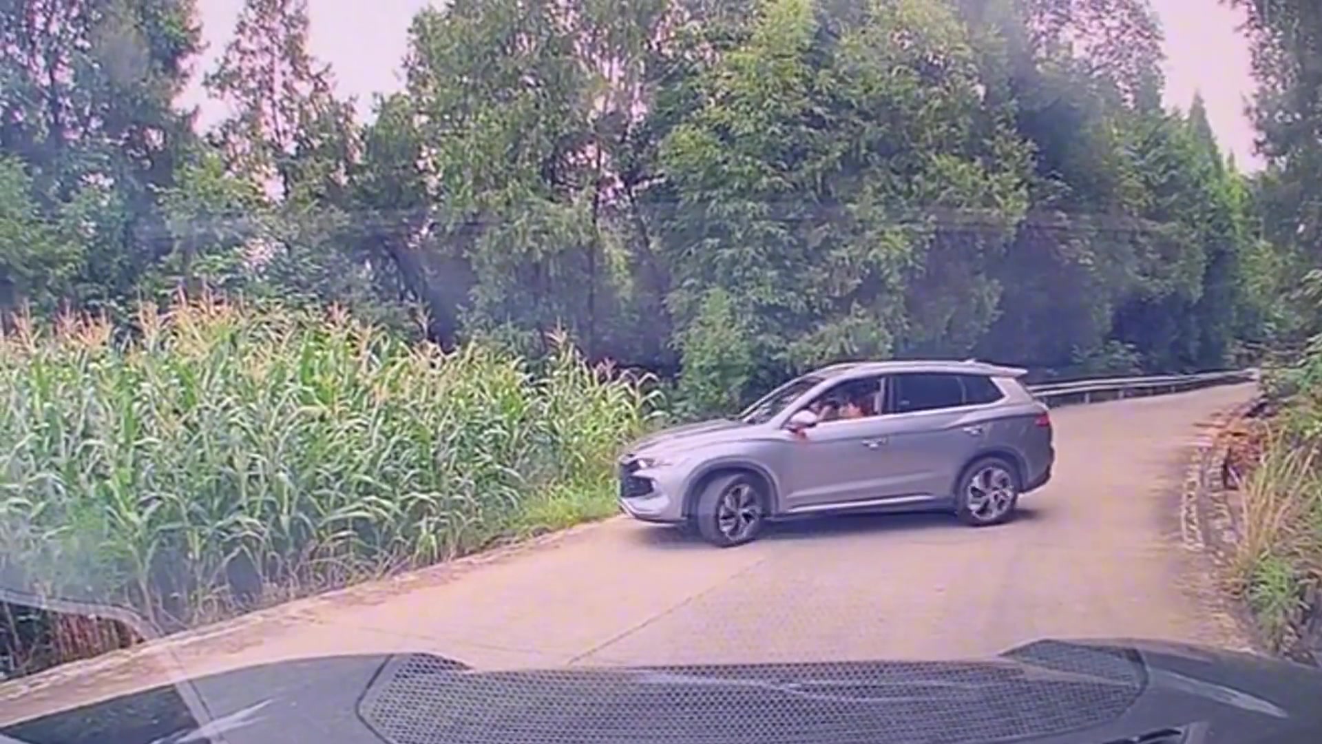 真不明白，这驾照怎么考的