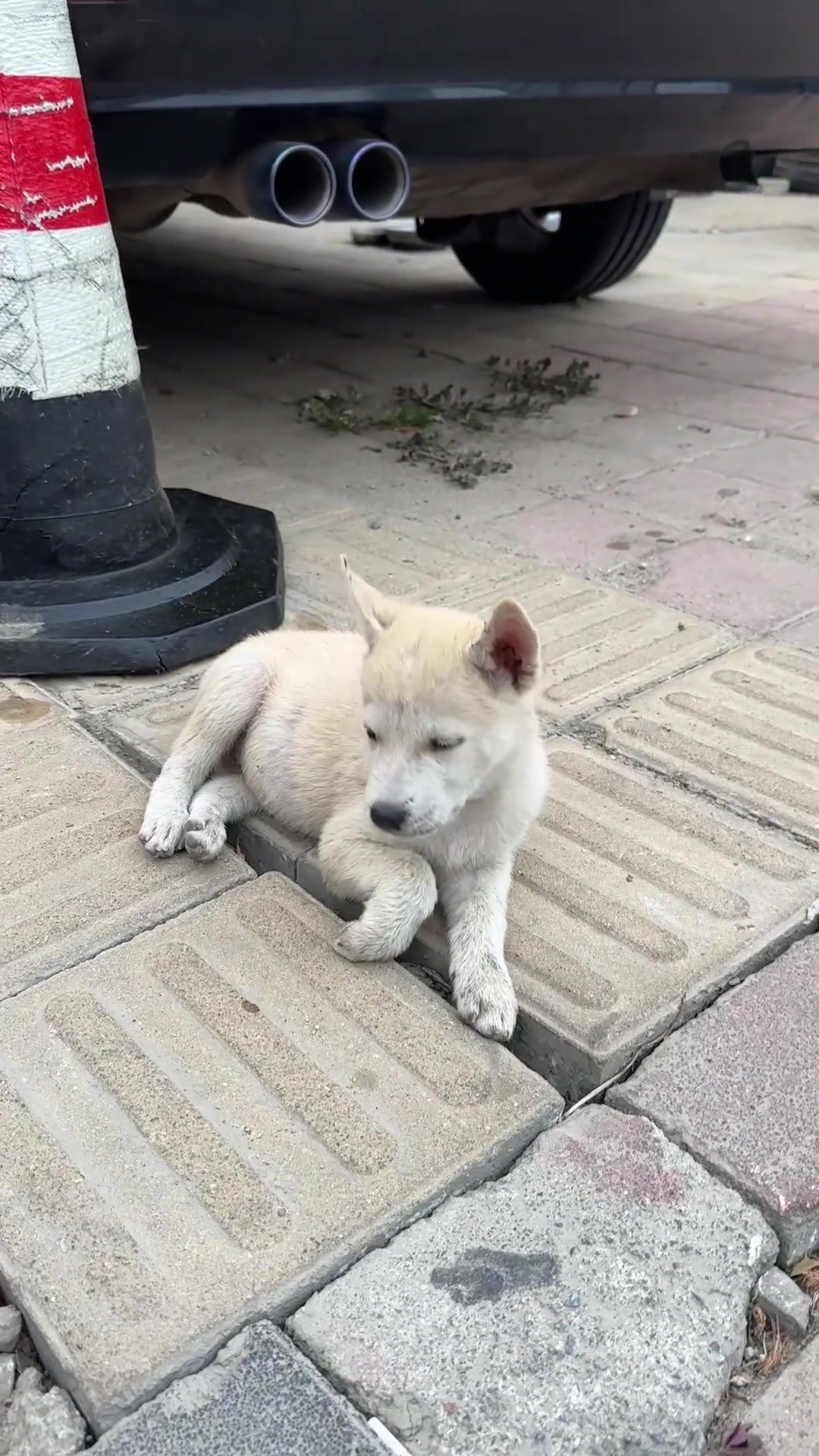 往那一站就知道强的可怕