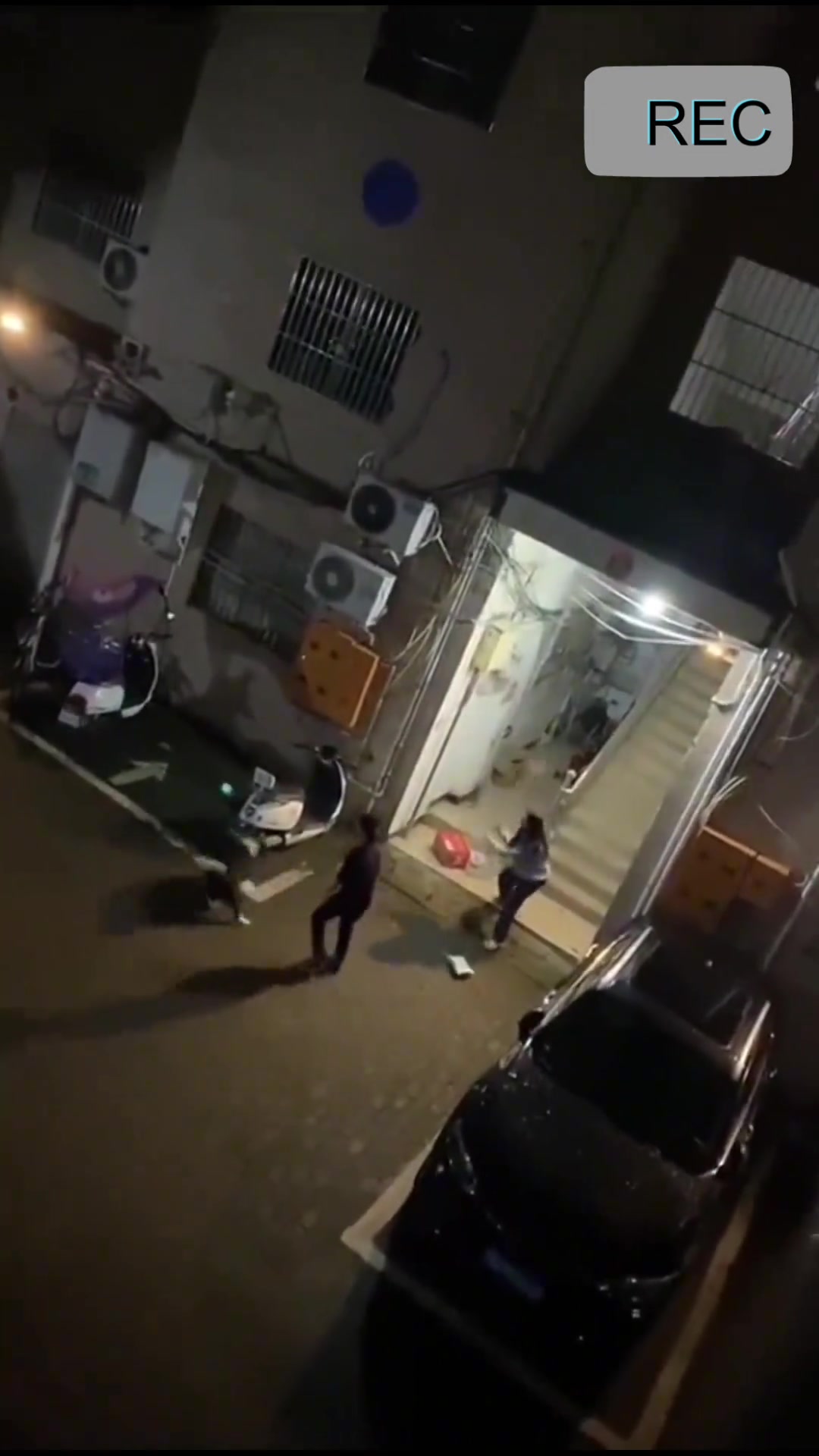 面对两条狗，这个女孩极其勇敢