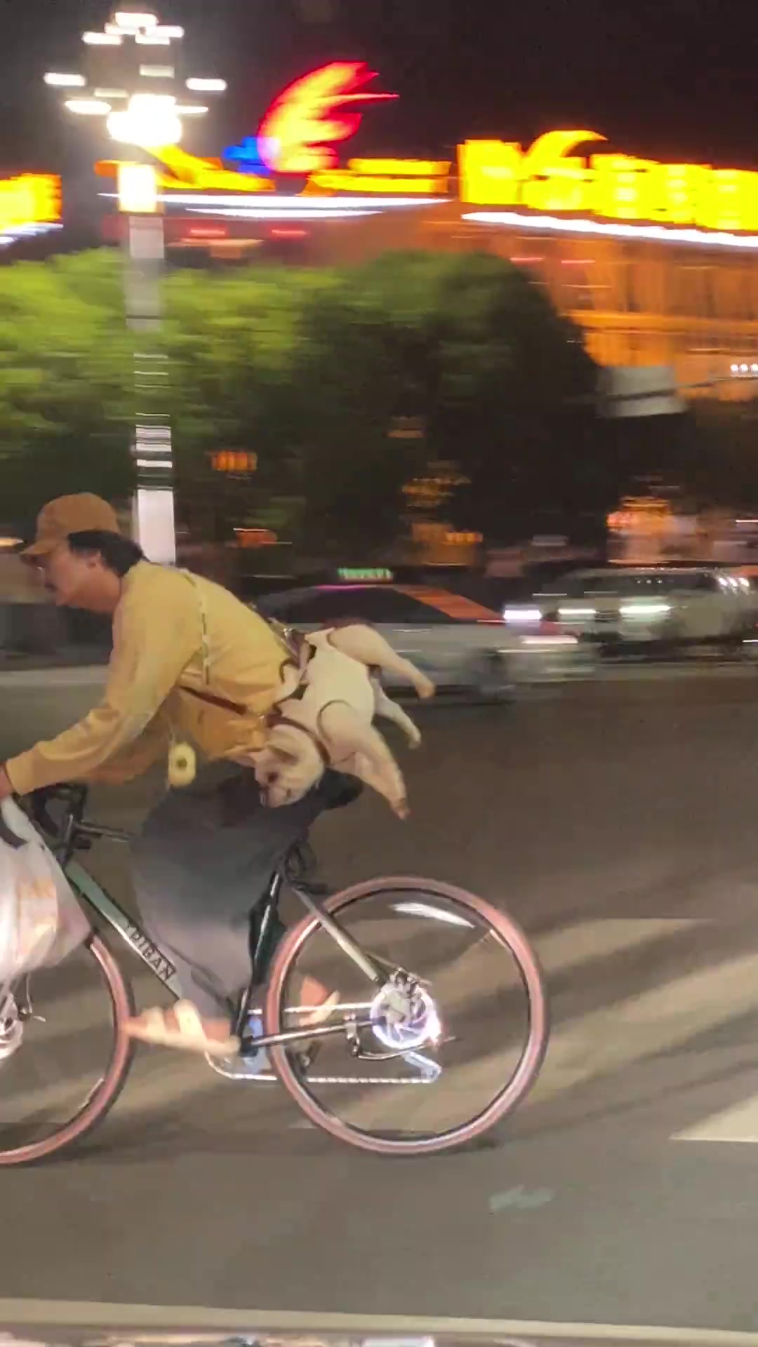 说实话斜挎包小狗真的是第一次见