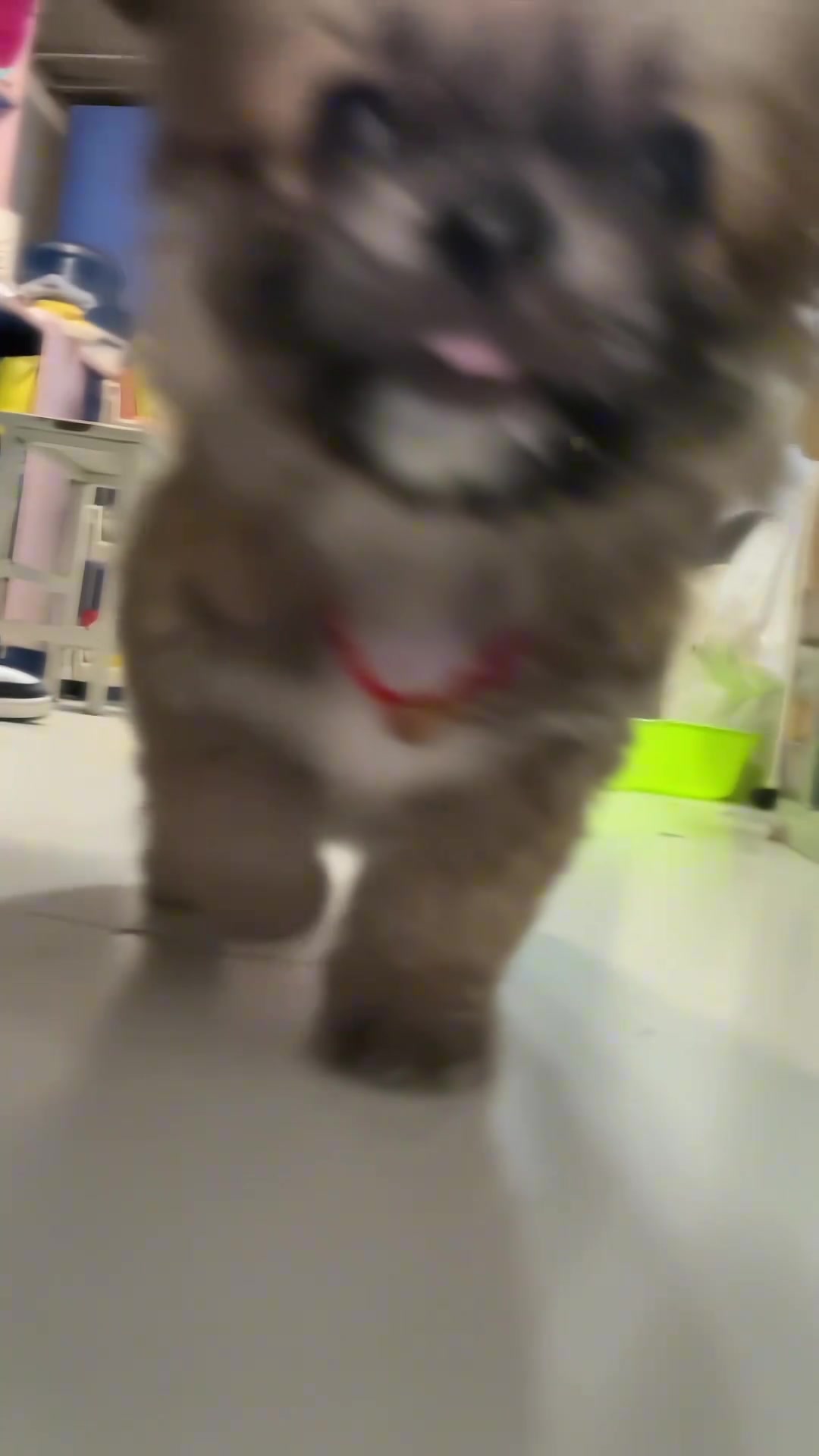 刚开始是在踢正步吗