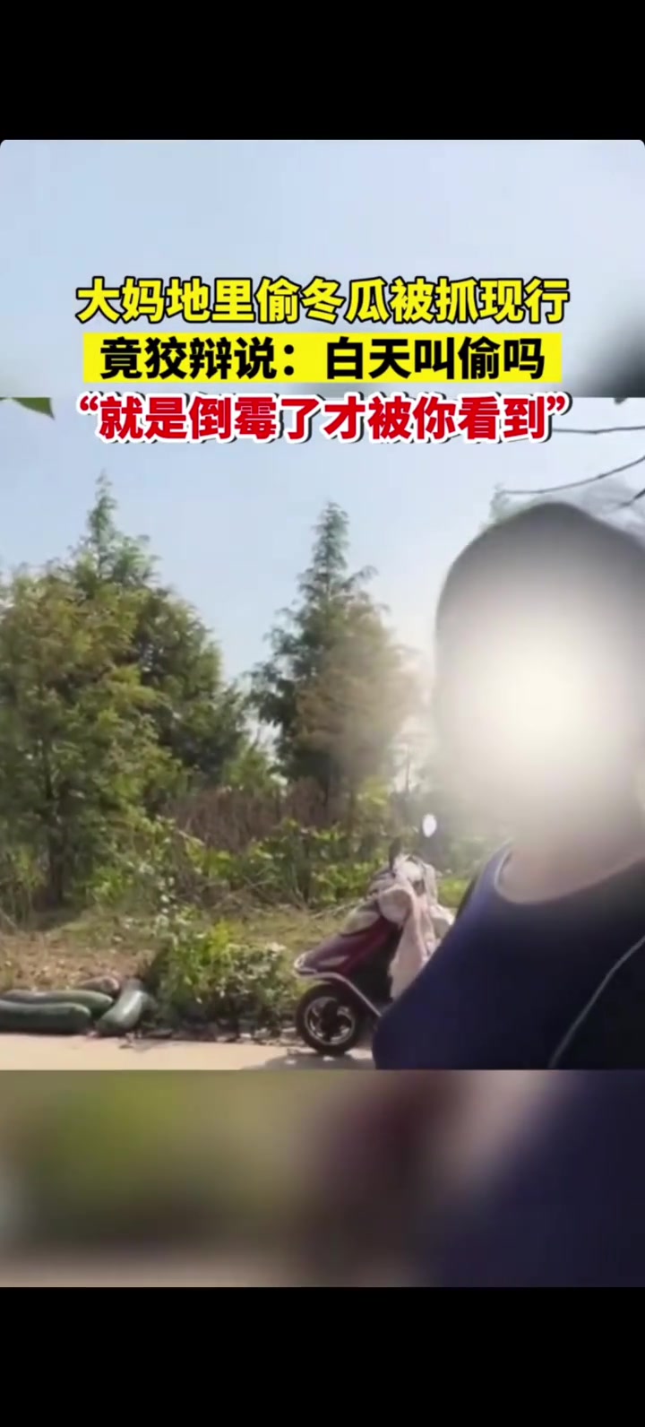 大妈地里偷冬瓜被抓现行，竟狡辩说：白天叫偷吗