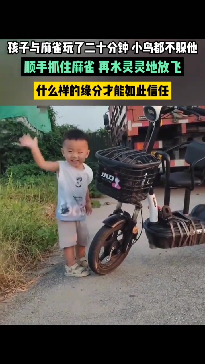孩子与麻雀玩了20分钟小鸟都不躲开他