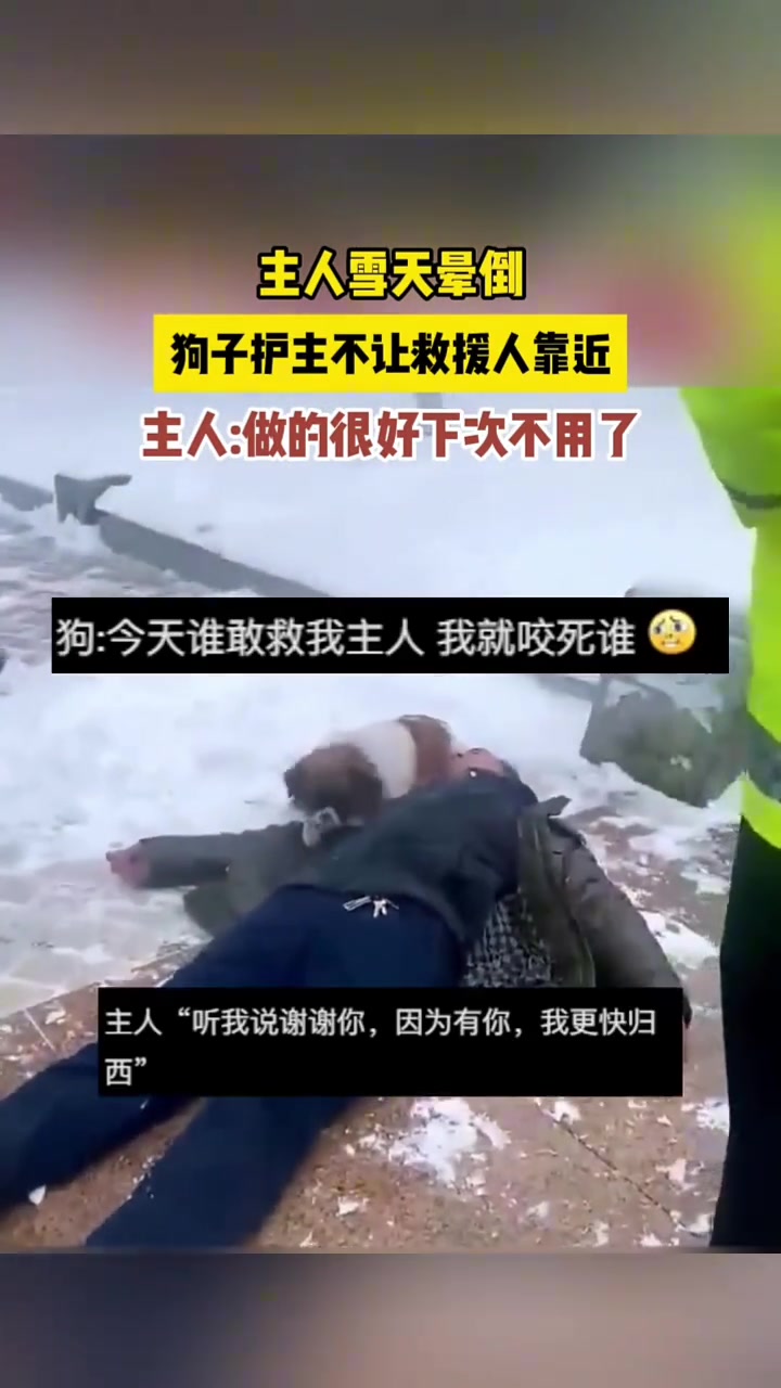 主人雪天晕倒，狗子护主不让救援人靠近