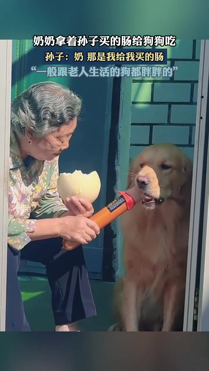 奶奶拿着孙子买的肠给狗子吃了