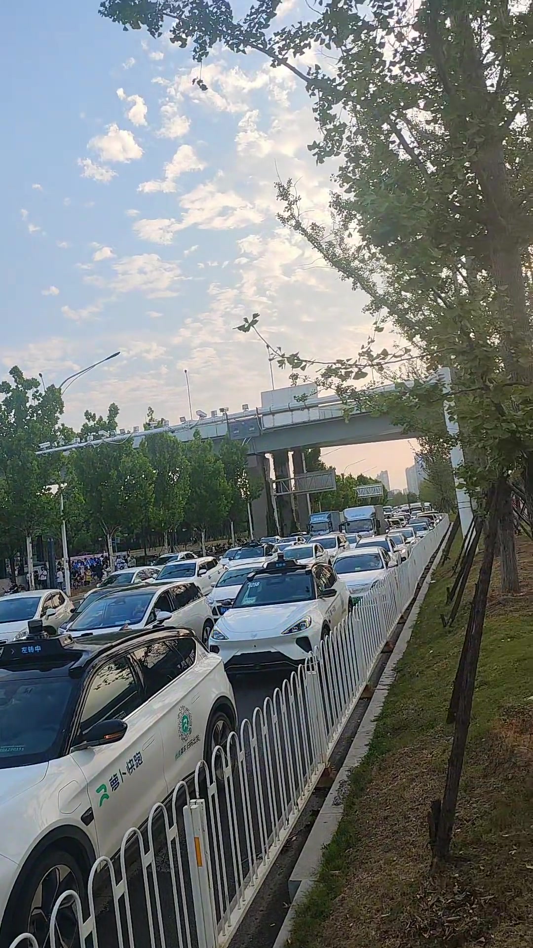 无人驾驶网约车绿灯却走不了，导致堵了一片，实在无奈