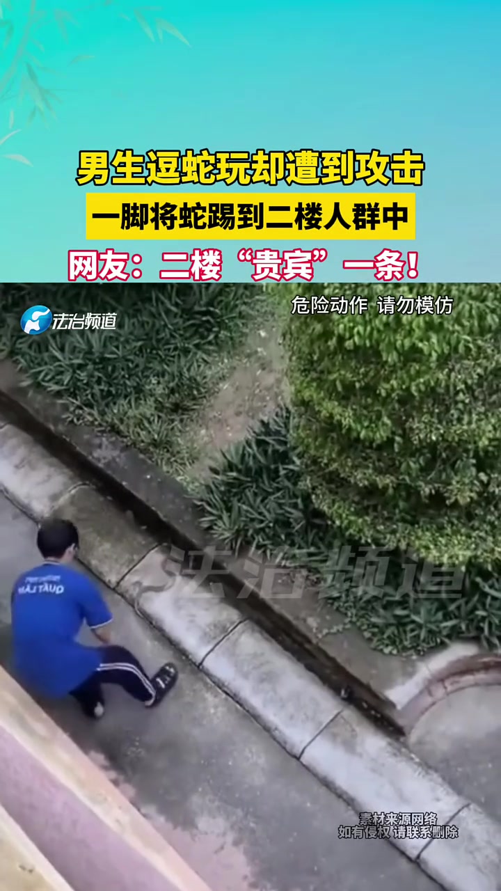 男生逗蛇玩却遭到攻击，一脚将蛇踢到二楼人群中！