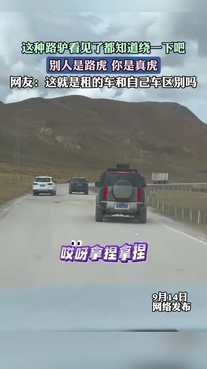 这种路驴看见了都知道绕一下吧！