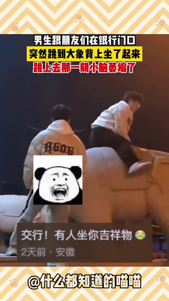 男生突然跳到大象背上坐了起来跳上去那一刻小脑萎缩了