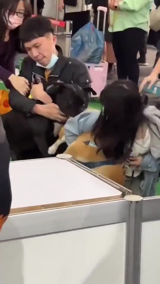狗咬狗！凶猛的烈性犬，咬到拽都拽不开