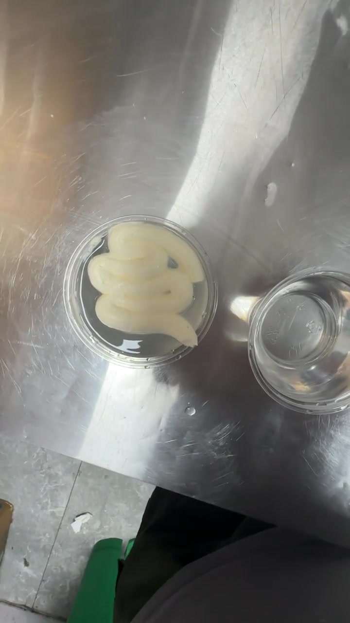 这下知道该选植物奶油还是动物奶油了吧！！