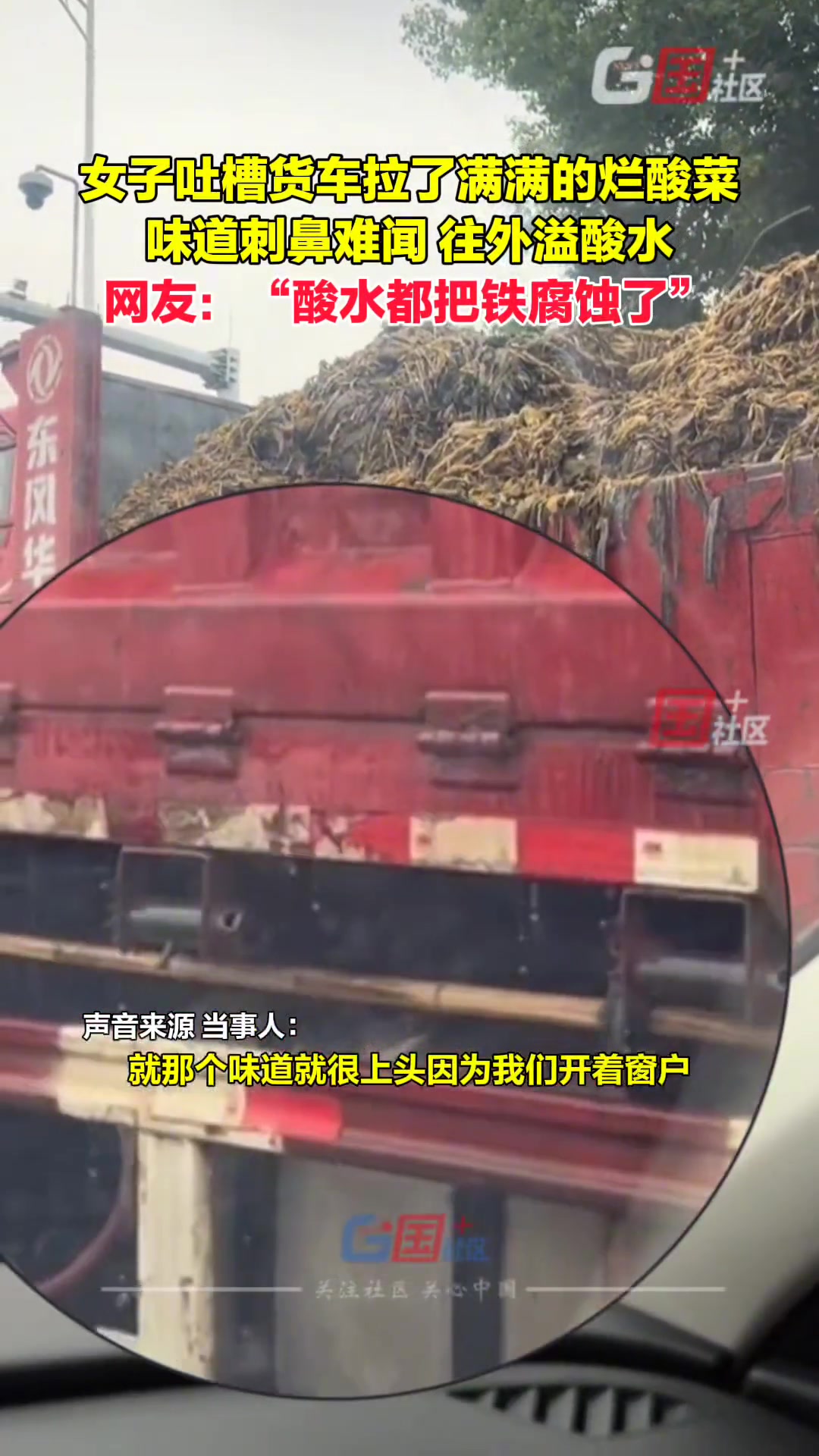 女子吐槽货车拉了满满的烂酸菜味道刺鼻难闻往外溢酸水