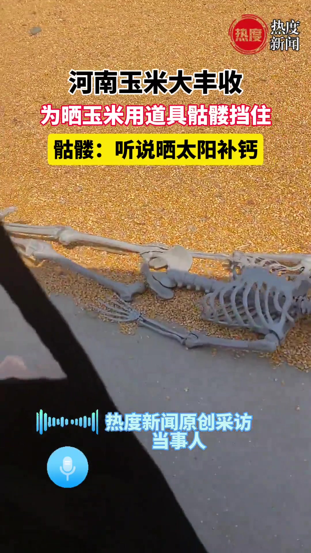 晒玉米的围挡有多离谱！有道具骷髅你敢信