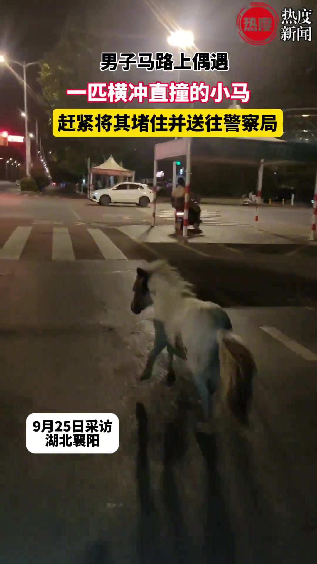 小马：马走马路没错啊，干嘛拉我去警察局