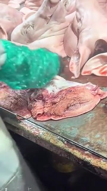 恶名远扬！给大家看一下槽头肉的位置！