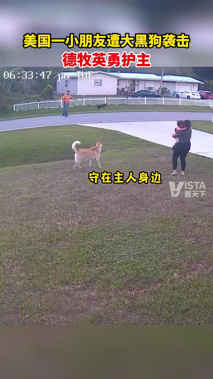 英勇护主！今晚的鸡腿必须分你一半！