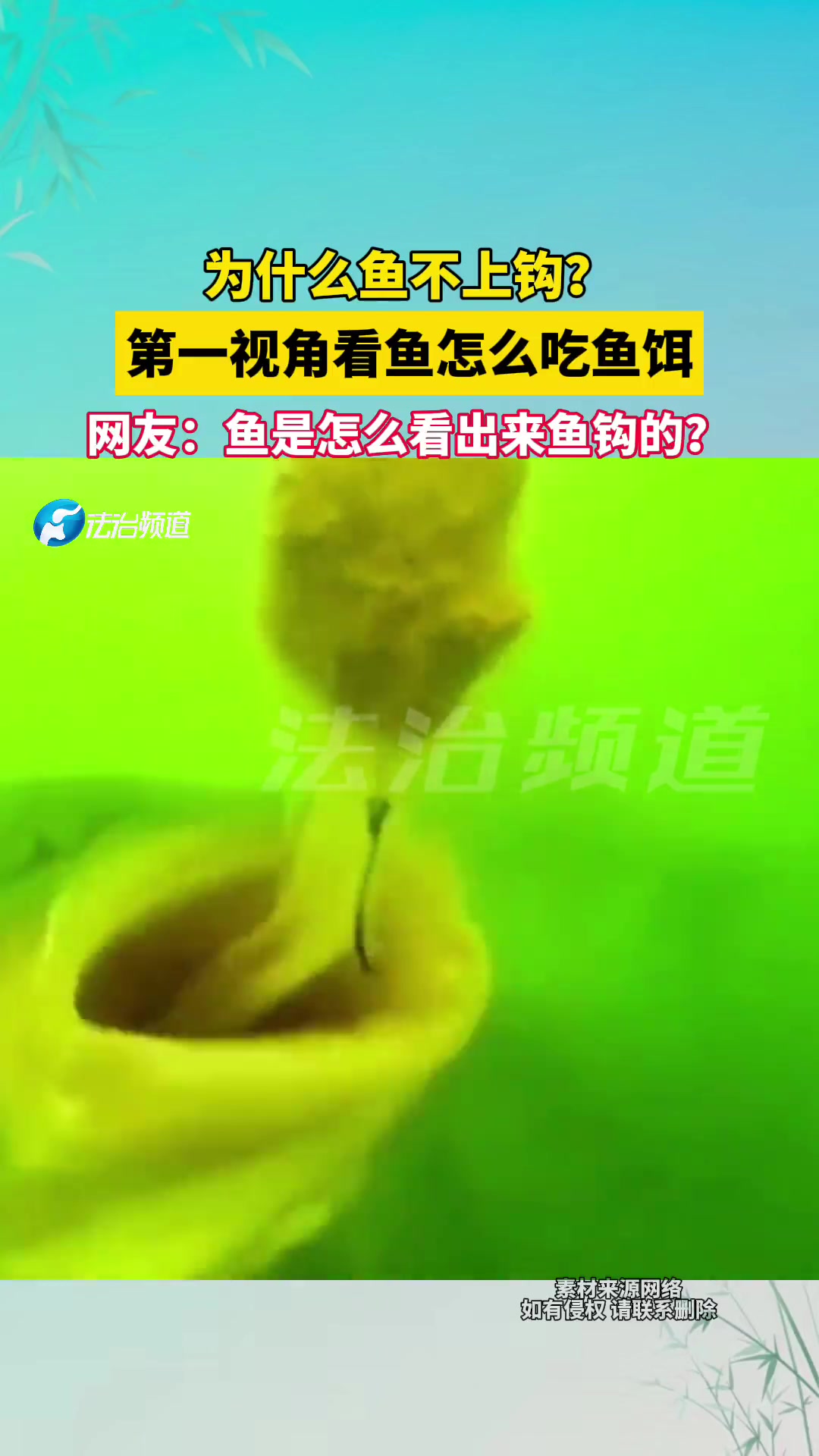 钓鱼佬必看！为什么鱼不上钩第一视角看鱼怎么吃鱼饵