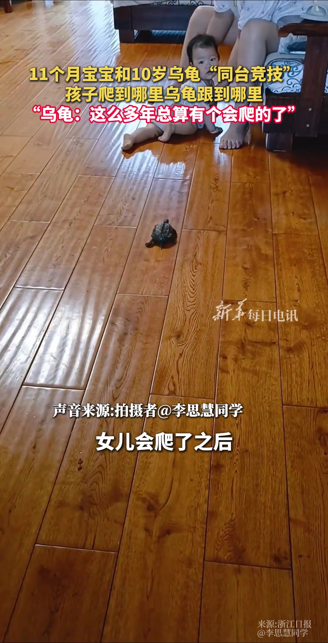 宝宝和乌龟“同台竞技”，孩子爬到哪里乌龟跟到哪里